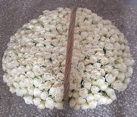 корзина из 201 белой розы