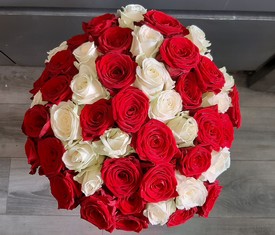 букет из 55 красных и белых роз купить