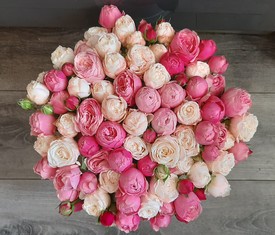 розовые пионовидные и кустовые розы