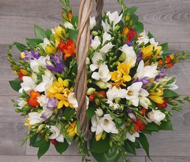 корзина из 151 цветка разноцветной фрезии