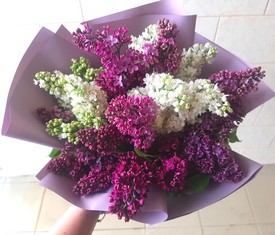 Букет из Веток цветов сирени