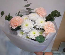 розовый диантус и хризантемы