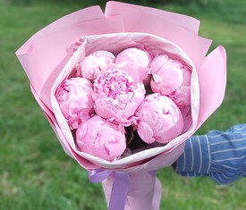букет из 7 розовых пионов
