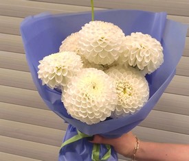 букет из 7 цветов белых георгинов